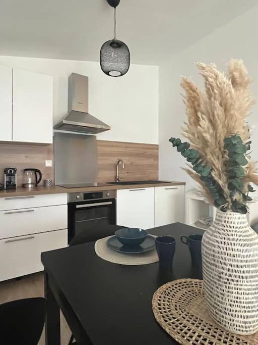 Apartment Au Coeur Des Alberes